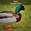 Duck Hunting Calls!!
