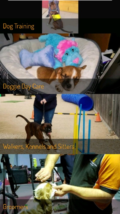 The Doggie Den Bairnsdale App