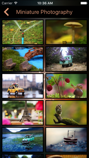 Miniature DSLR Photo Cam(圖4)-速報App