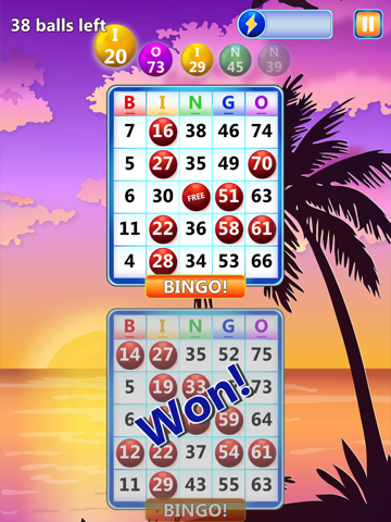Bingo - On the Go! screenshot 3