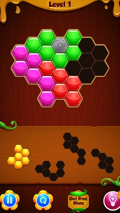 Hexa Puzzle Block: Hexagon screenshot 2