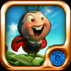 Activities of Ladybugs Flying Dreams