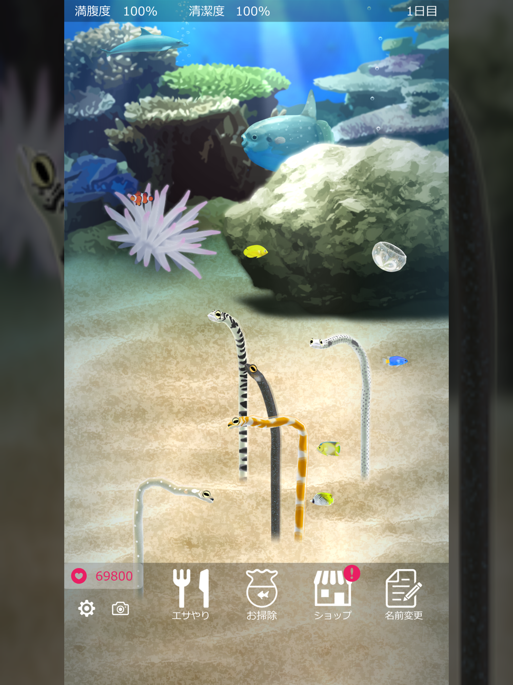 癒しのチンアナゴ育成ゲーム 癒しの育成ゲームシリーズ Free Download App For Iphone Steprimo Com