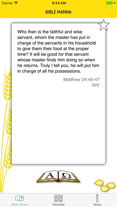Bible Manna screenshot 2