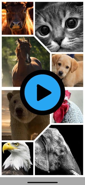 New Animal Sounds HD(圖5)-速報App