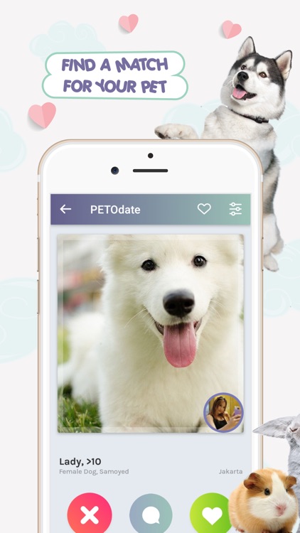 PETO - Pet Services + Adoption
