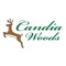 The new Candia Woods Golf app makes paying for your tee time, ordering from the beverage cart or buying a round of drinks after golf fun and easy