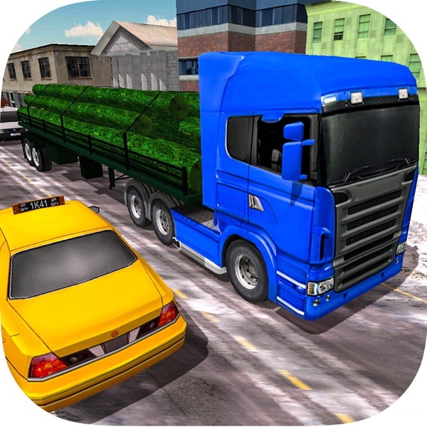 Cargo Delivery Truck Driver 18