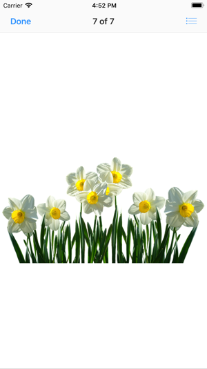 Daffodil Sticker Pack(圖8)-速報App