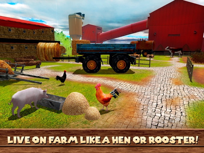 鸡鸟农场生存模拟