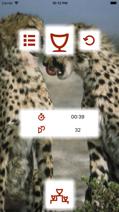 Animal Pexeso screenshot 3