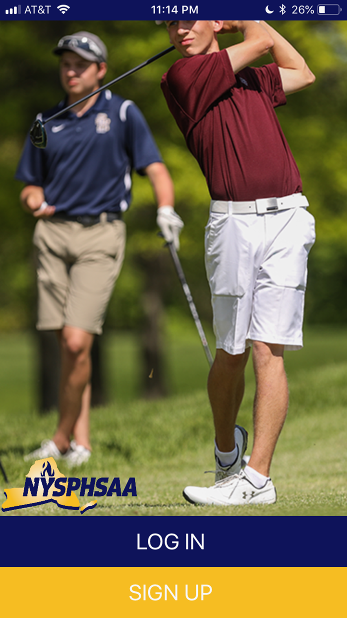 NYSPHSAA Golf