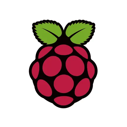 Raspberry Pi. Cheats