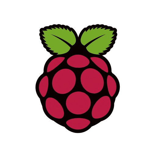 Raspberry Pi. iOS App