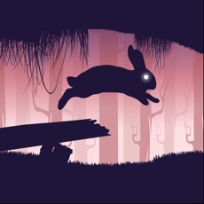 Activities of Bunny Trapped In Badland