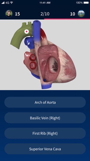 Quiz Anatomy