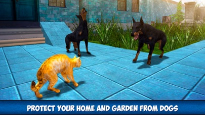 Home Kitty City Survival Sim screenshot 2