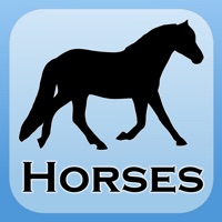1250 Horse Breeds  Dictionary