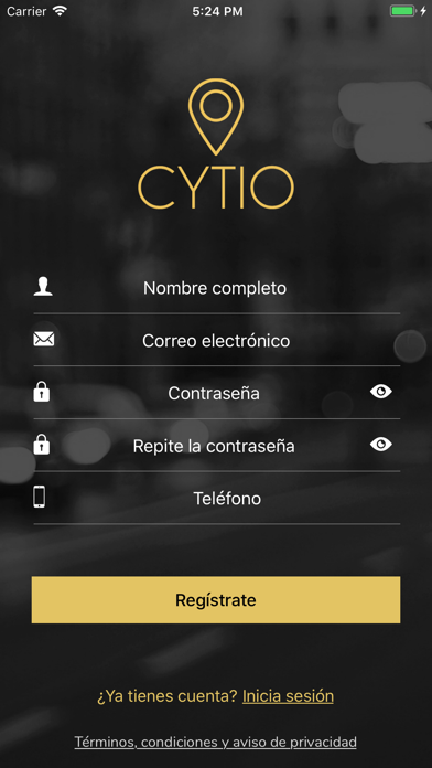 Cytio screenshot 3