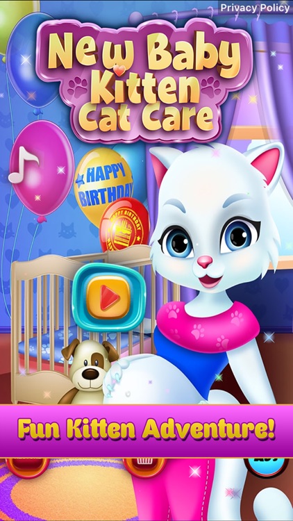 New Baby Kitten Cat Care