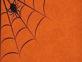 Have fun with creepy spiders for a low cost