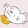 Funny Bunny Animated Stickers