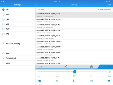 Voice Recorder MINI screenshot 4