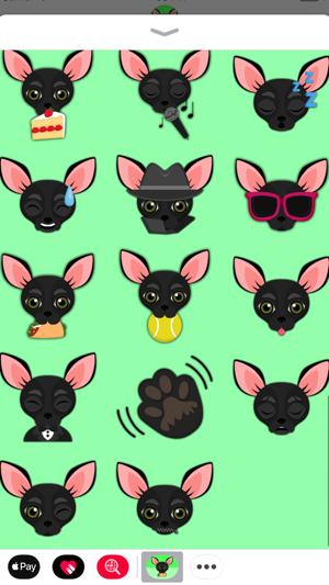 Black Chihuahua(圖3)-速報App