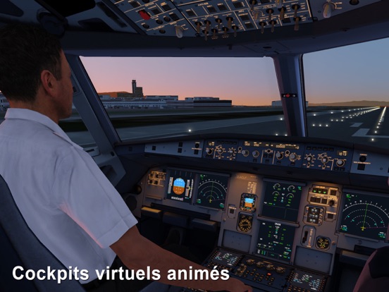 Aerofly FS 2 Simulateur de Vol