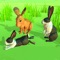 Icon Poly Art Rabbit Simulator