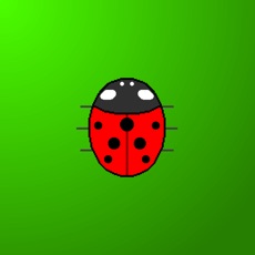 Activities of Touch the Ladybug