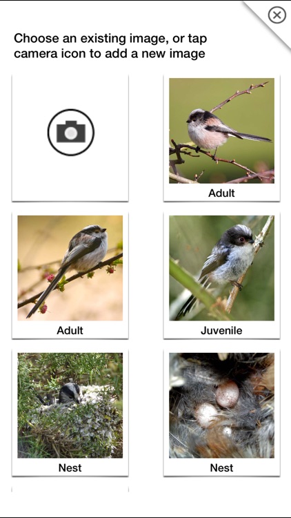 Birds of Britain Pro screenshot-9