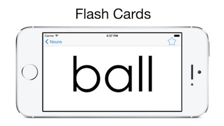 Sight Word Flash Cards +