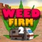 Weed Firm 2: Back to College by Manitoba Games