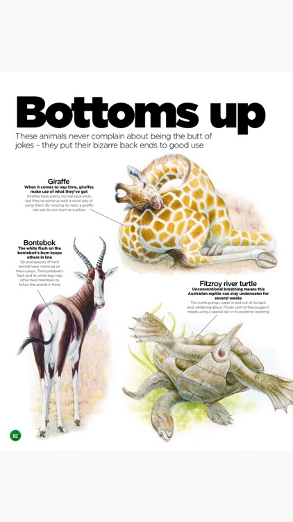 World of Animals Magazine: Wildlife and nature screenshot-3