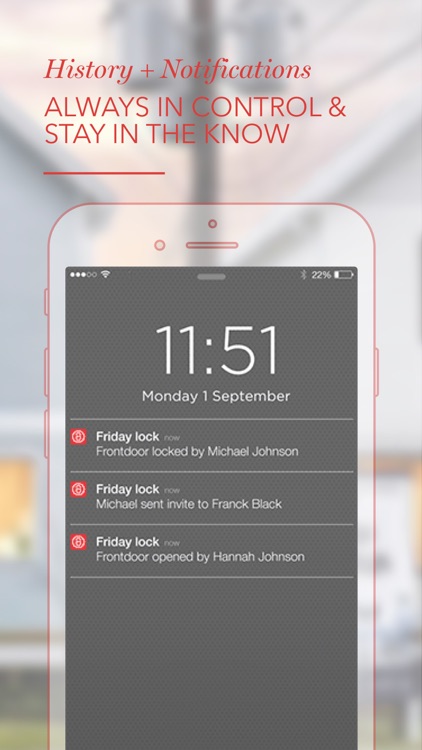 Friday Lock screenshot-4