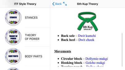 GMSMA ITF Style Theory screenshot 3