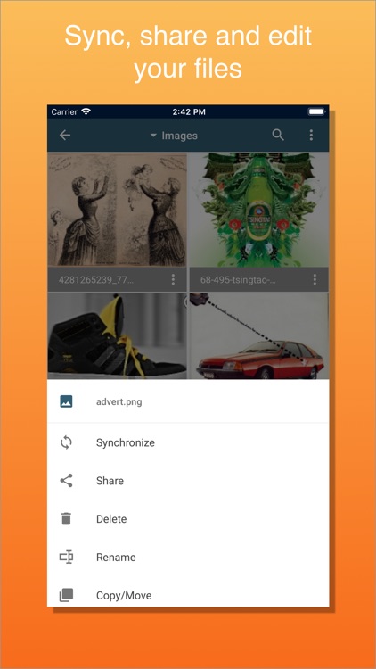 Pydio Pro screenshot-3