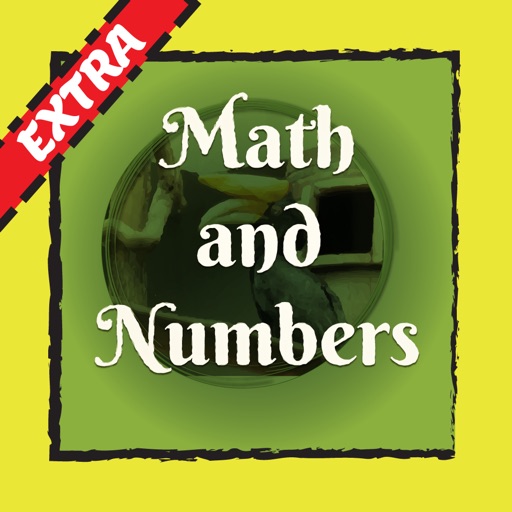 Math and Numbers Extra