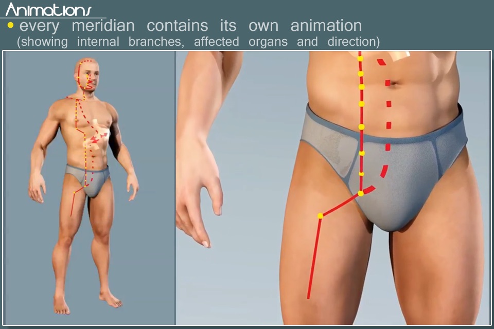 Easy Acupuncture 3D - LITE screenshot 4