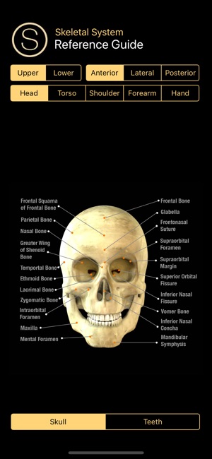 Human Skeleton Reference Guide(圖1)-速報App