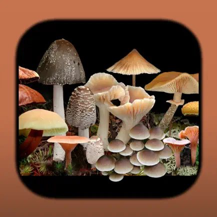 FunKey: Key to Agarics of Australia Читы