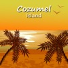 Cozumel Island Travel Guide