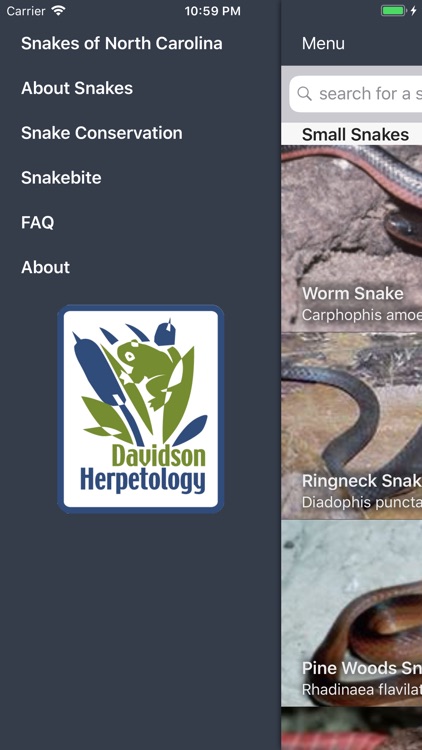 Snakes of North Carolina