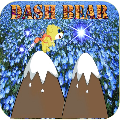 dash bear Icon