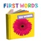 100 + Simple First Words to Teach Your Babies