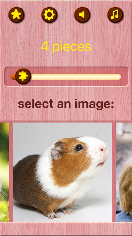 Guinea Pig Kids Jigsaw Puzzle screenshot-6