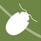This app is for recording beetles eating leaves of eucalypts (gum trees) in New Zealand
