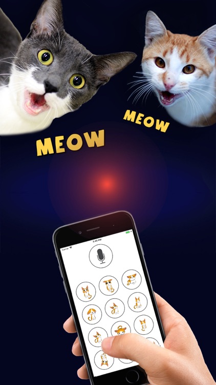 Human to Cat Translator