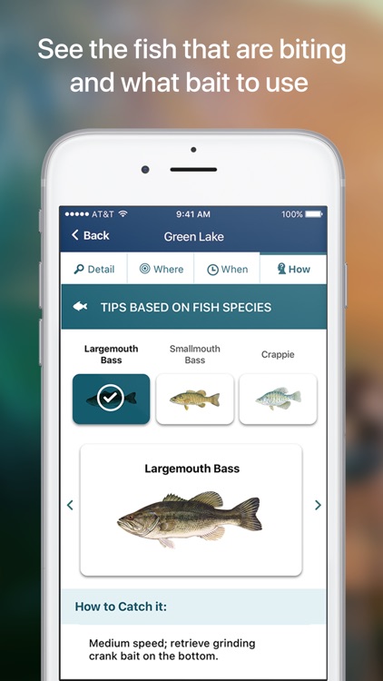 Netfish - Fishing Forecast App screenshot-3